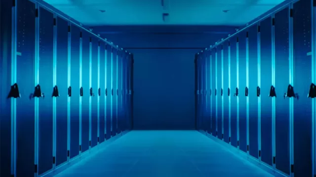 reliable-hosting-options:-what-to-look-for